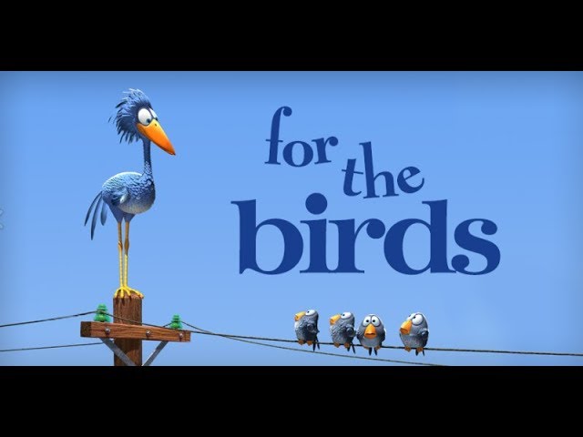 for the birds actividades