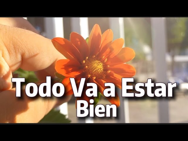 frases todo va a estar bien