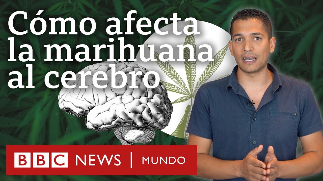 como afectan los porros a la personalidad