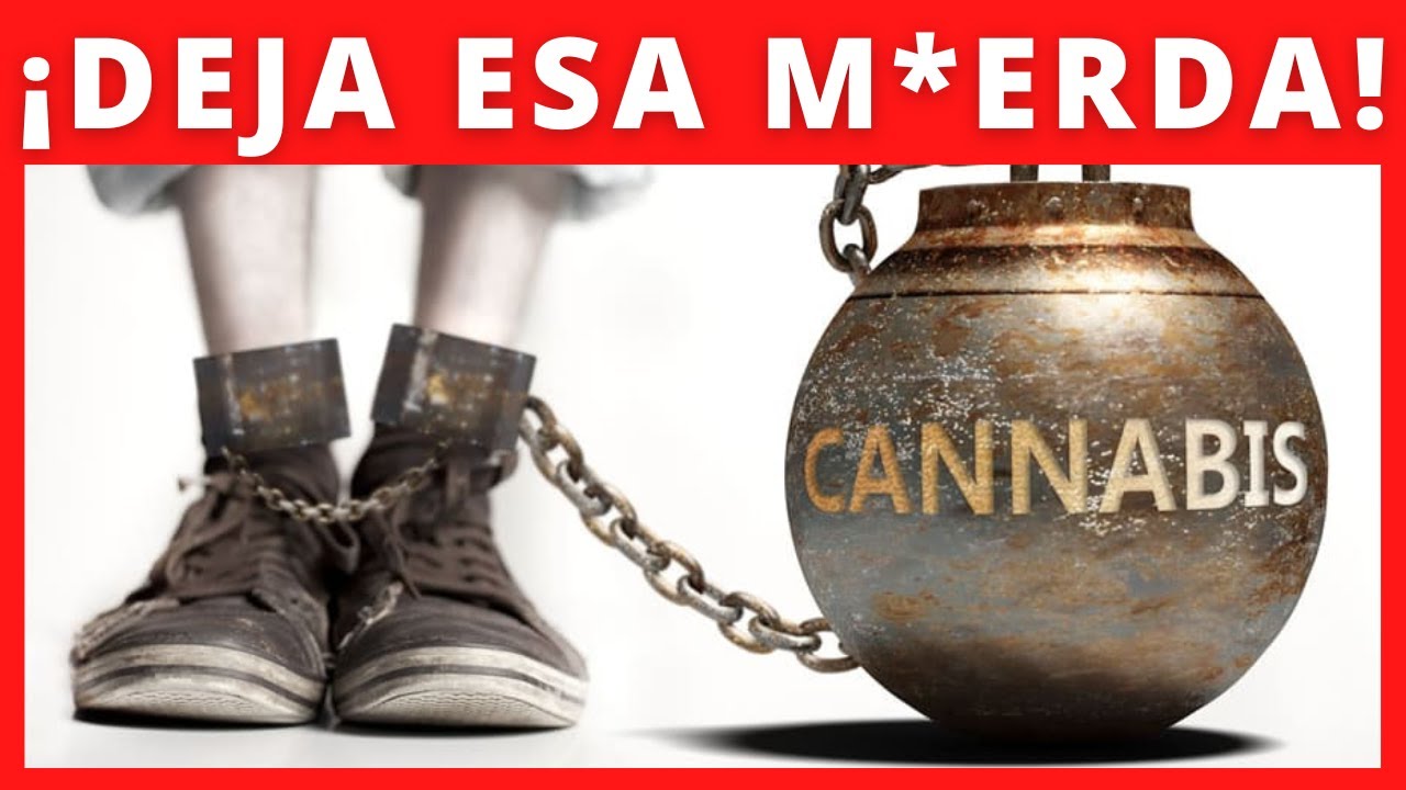 cuanto dura el síndrome de abstinencia del hachís