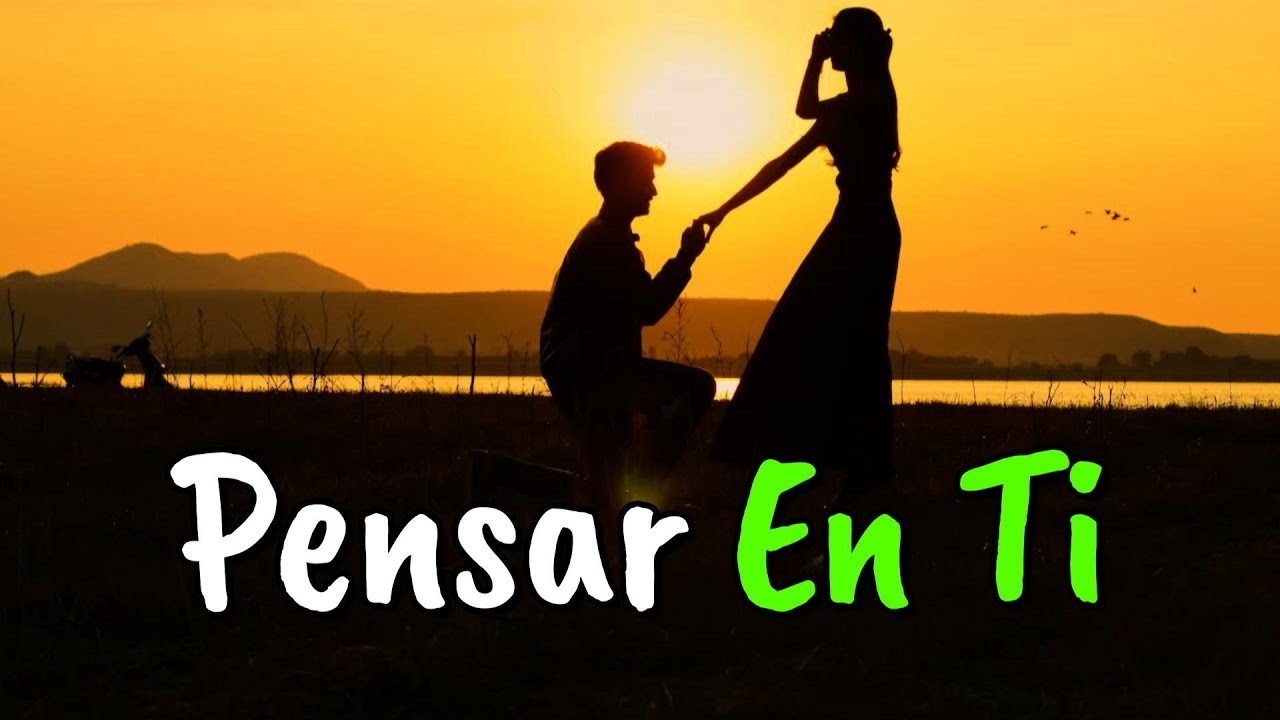 frases de nunca te dejare sola