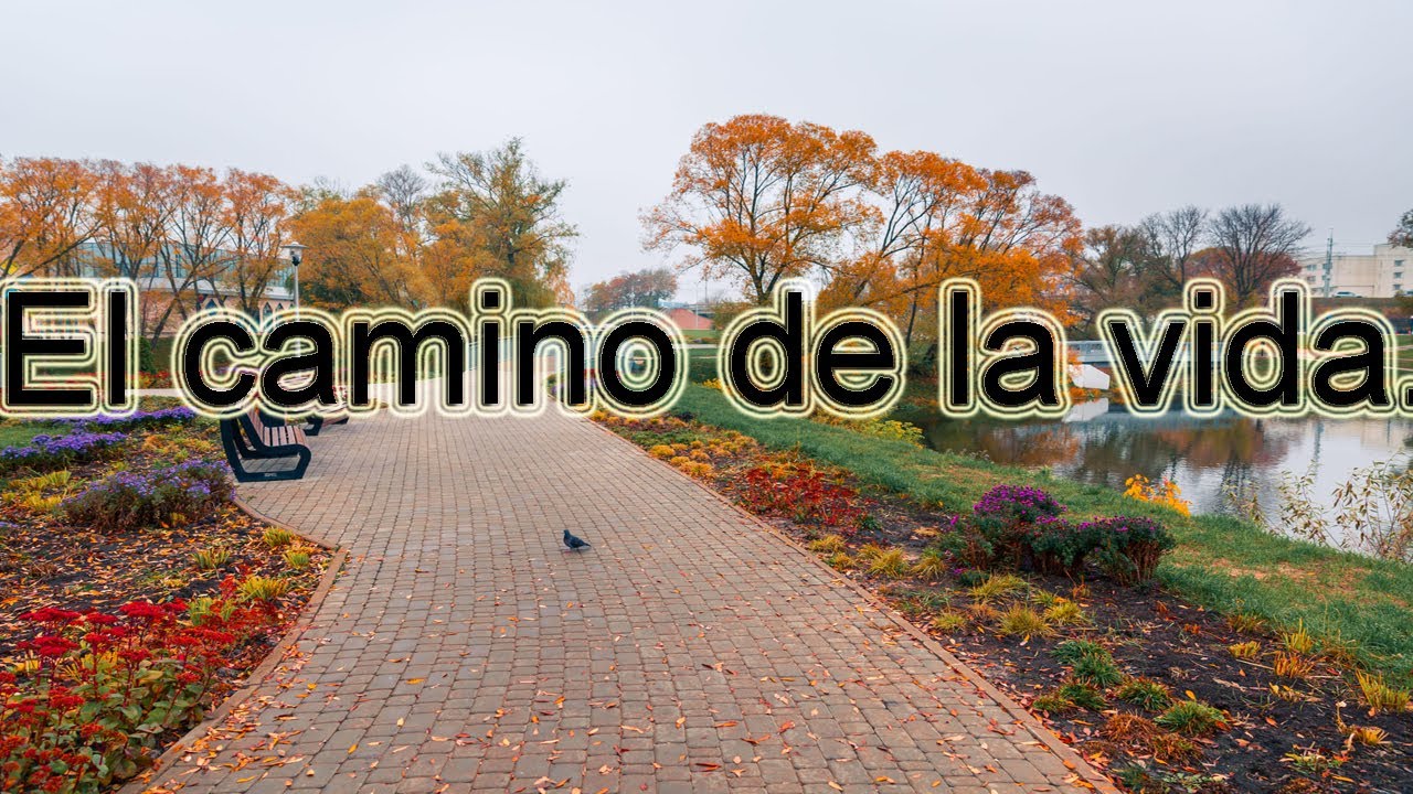 frases el camino es largo