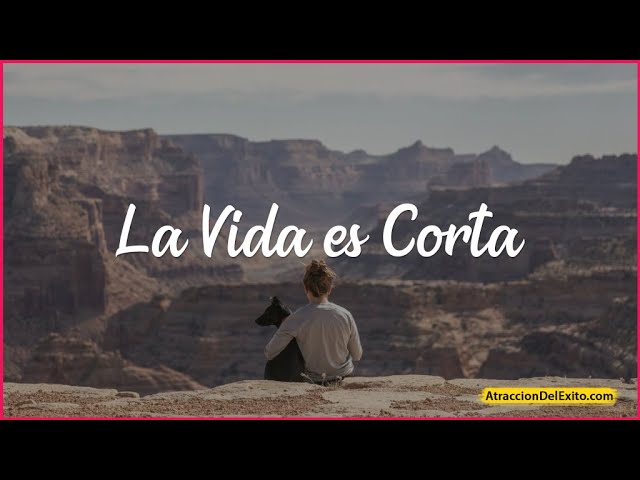 la vida es corta disfrutala