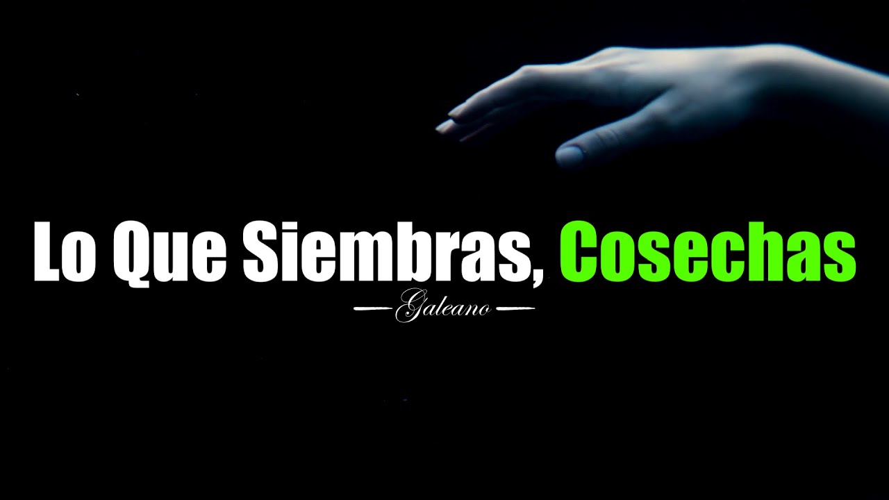 lo que das recibes frases