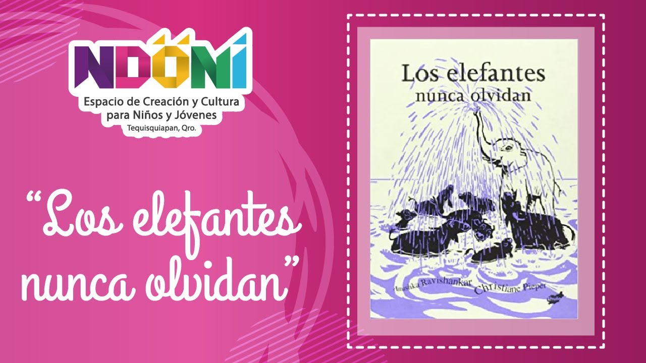los elefantes nunca olvidan libro