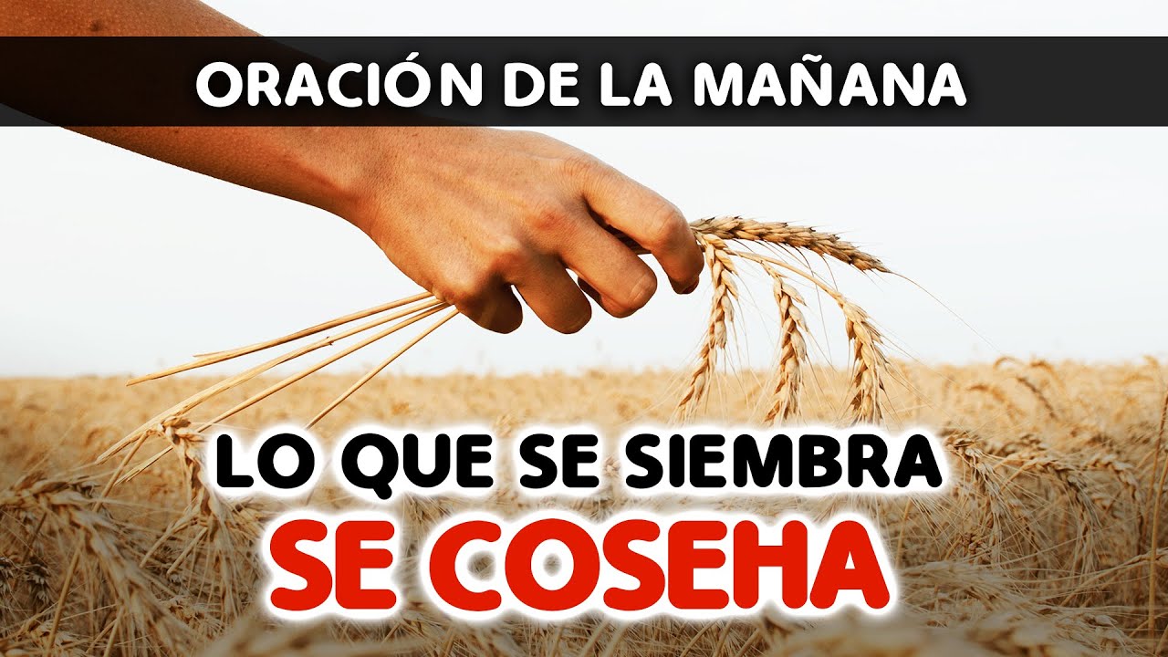 oraciones con la palabra sembrar