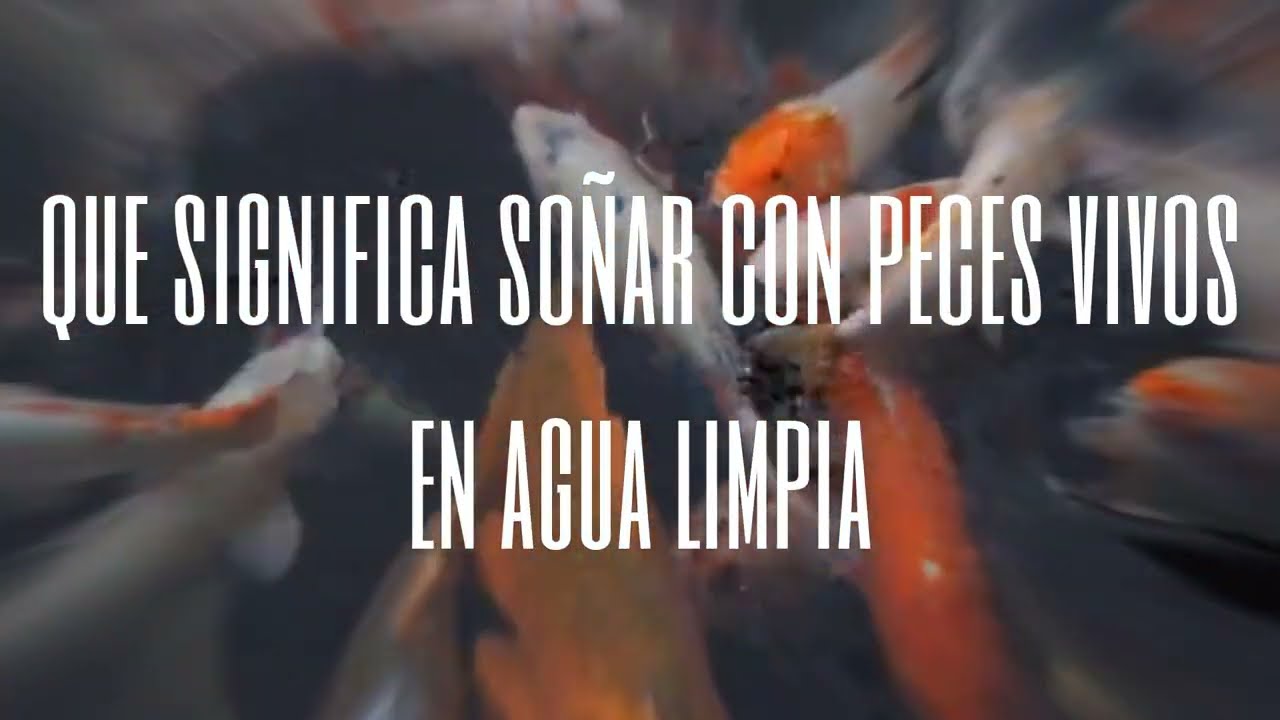 que significa soñar con agua limpia y muchos peces