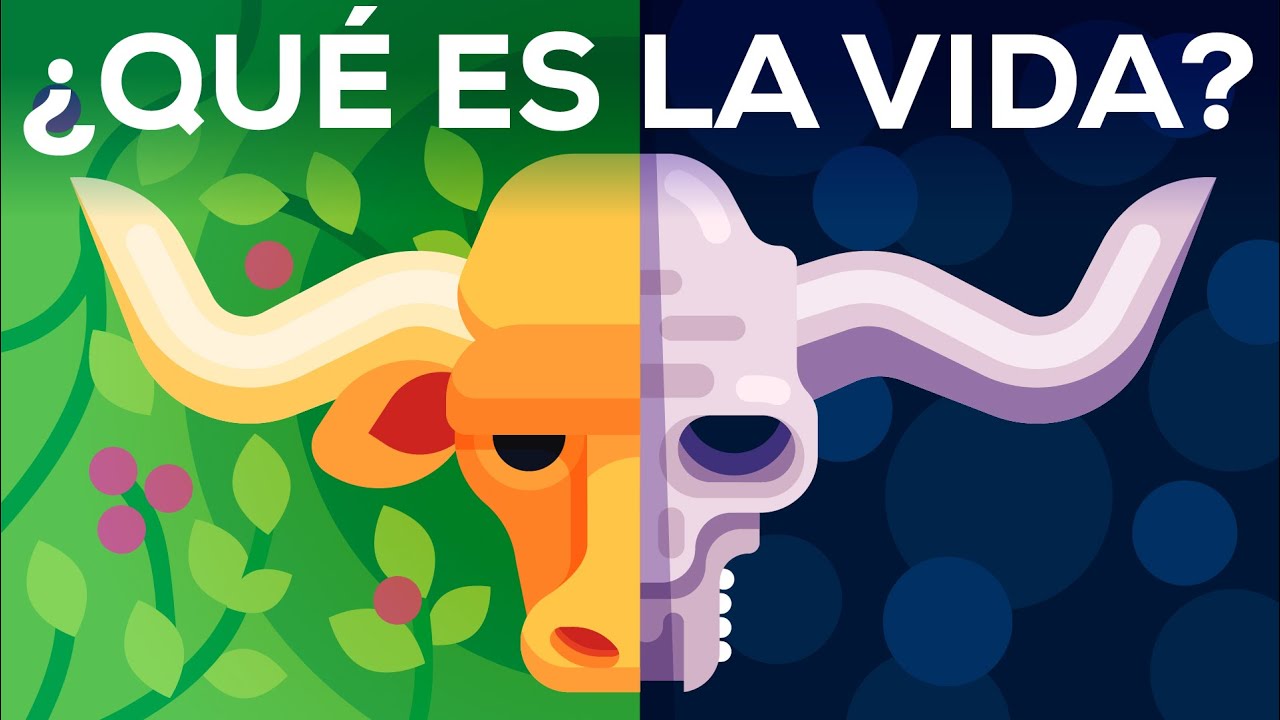 sobre la vida y la muerte