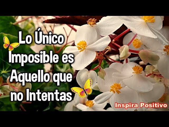 solo es imposible aquello que no intentas