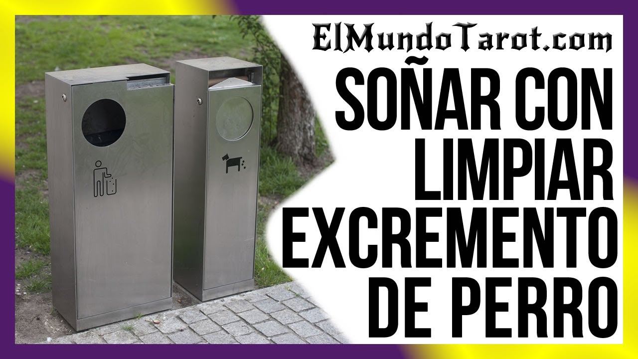 soñar con limpiar excremento de perro