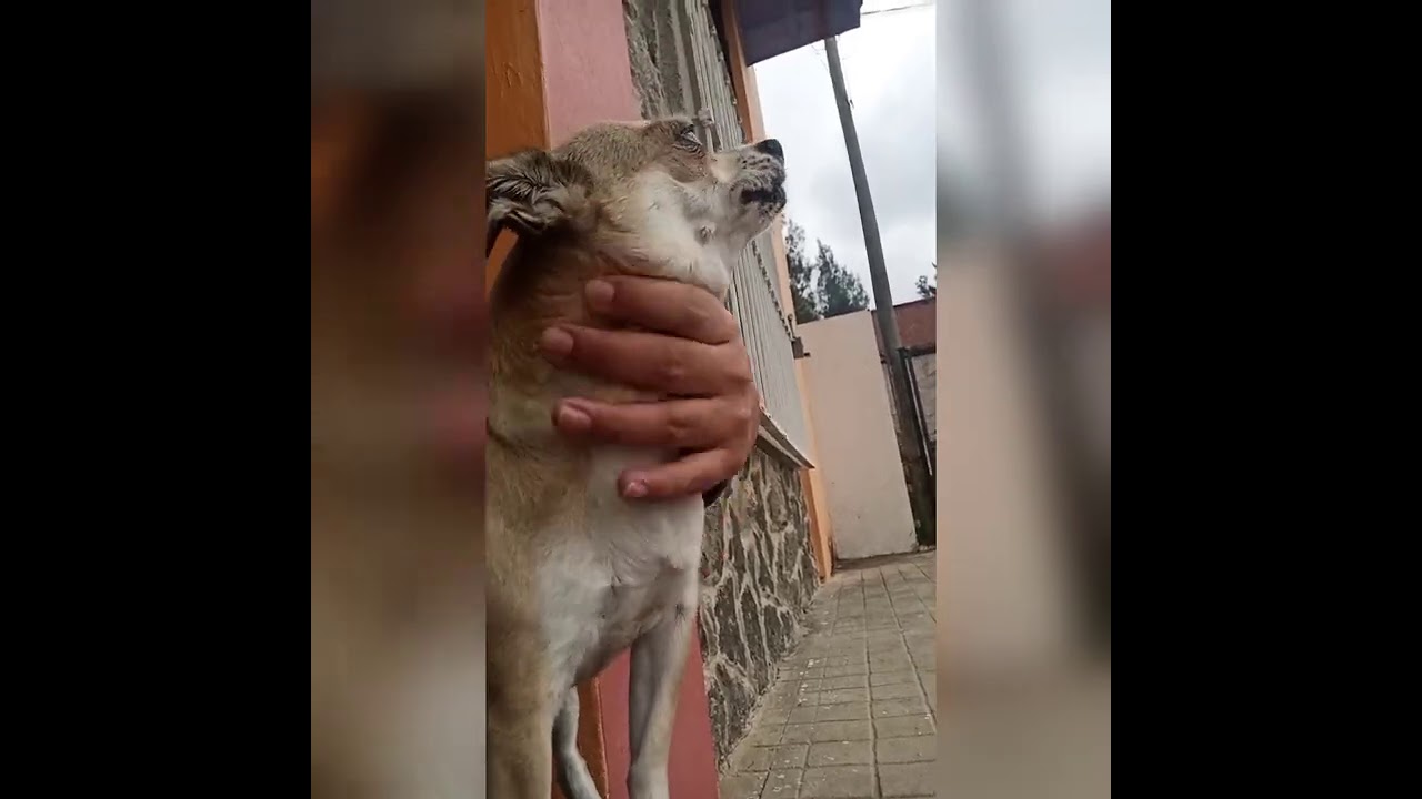 te amo con todo y tus demonios