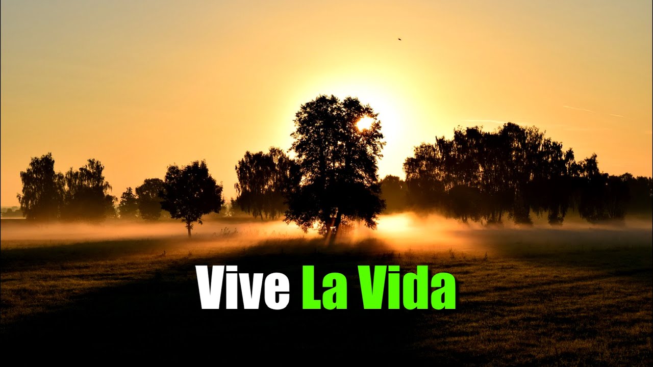 vive tu vida no la mia frases