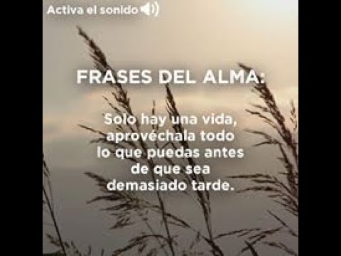 brilla hasta con el alma rota frases