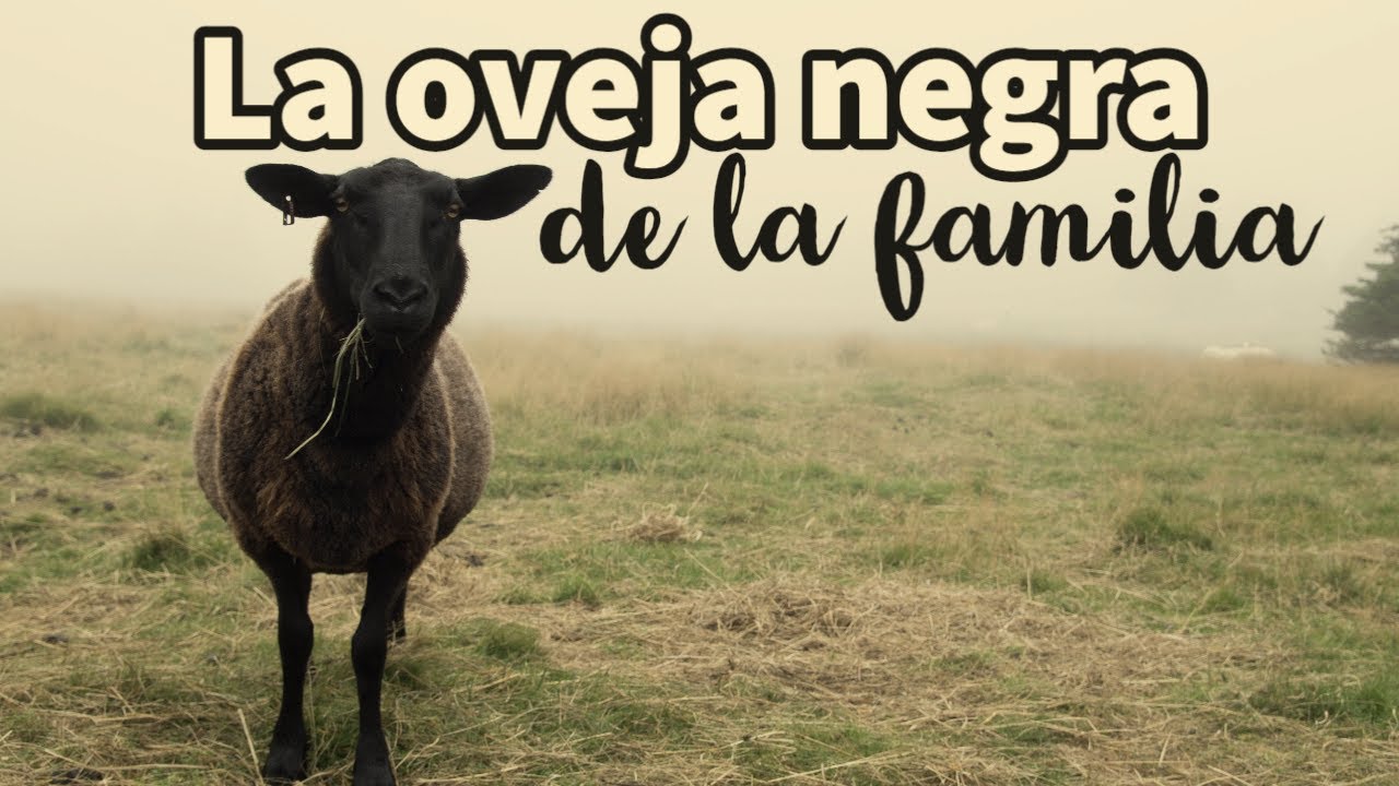 frase de la oveja negra de la familia