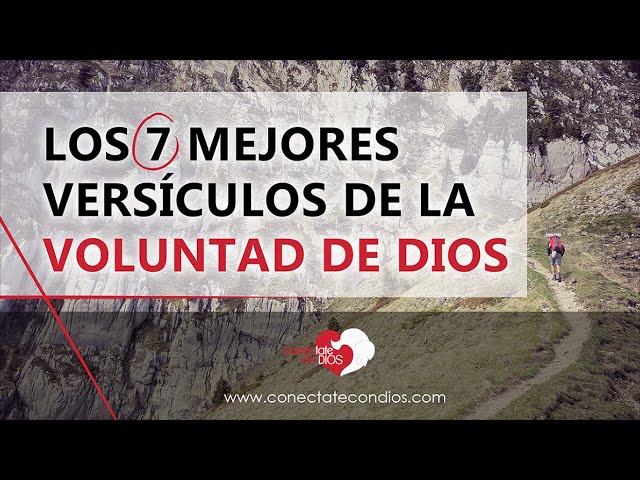 frases aceptar la voluntad de dios
