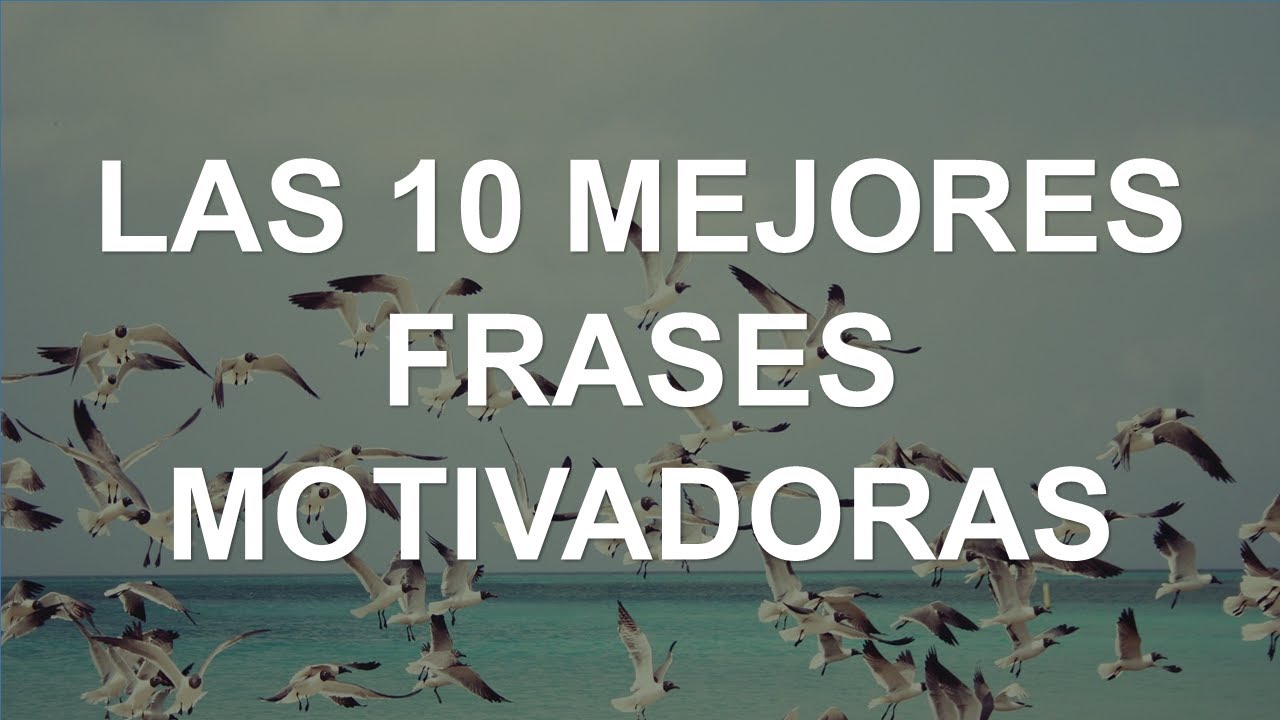 frases de campeones de la vida