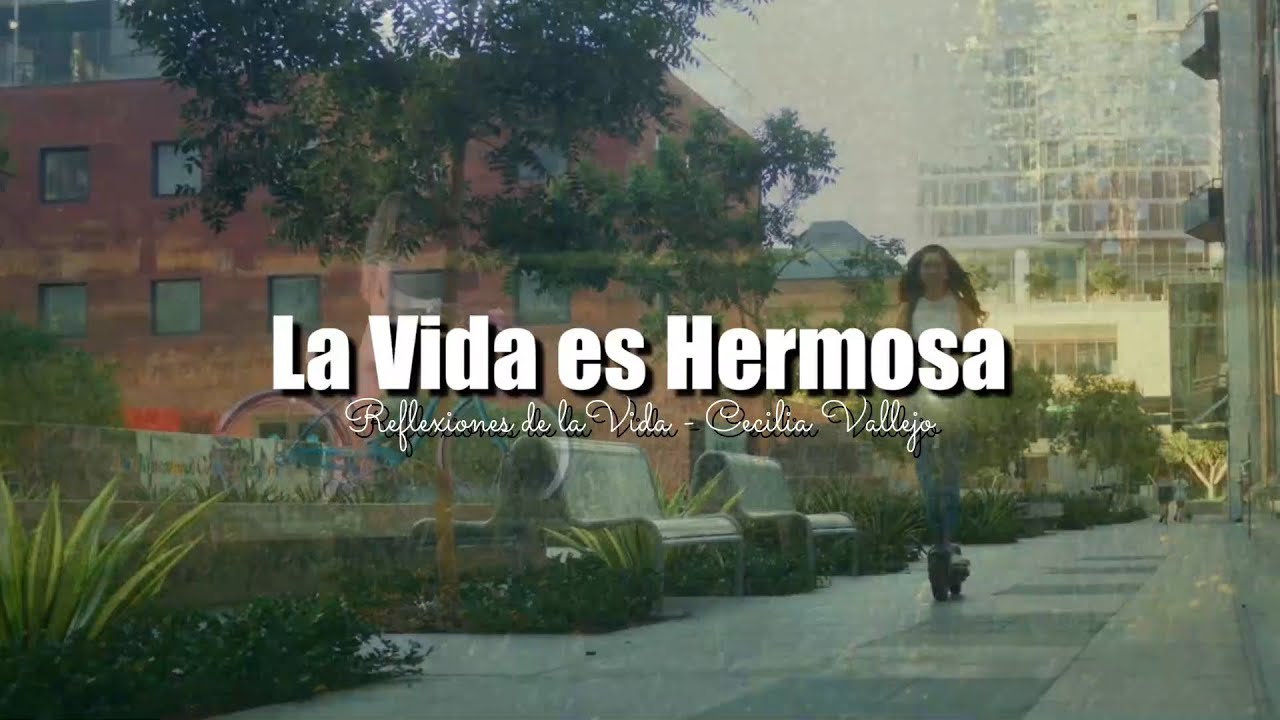 frases de lo bello que es la vida
