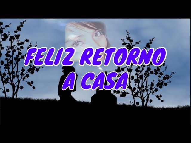 frases de regreso a casa