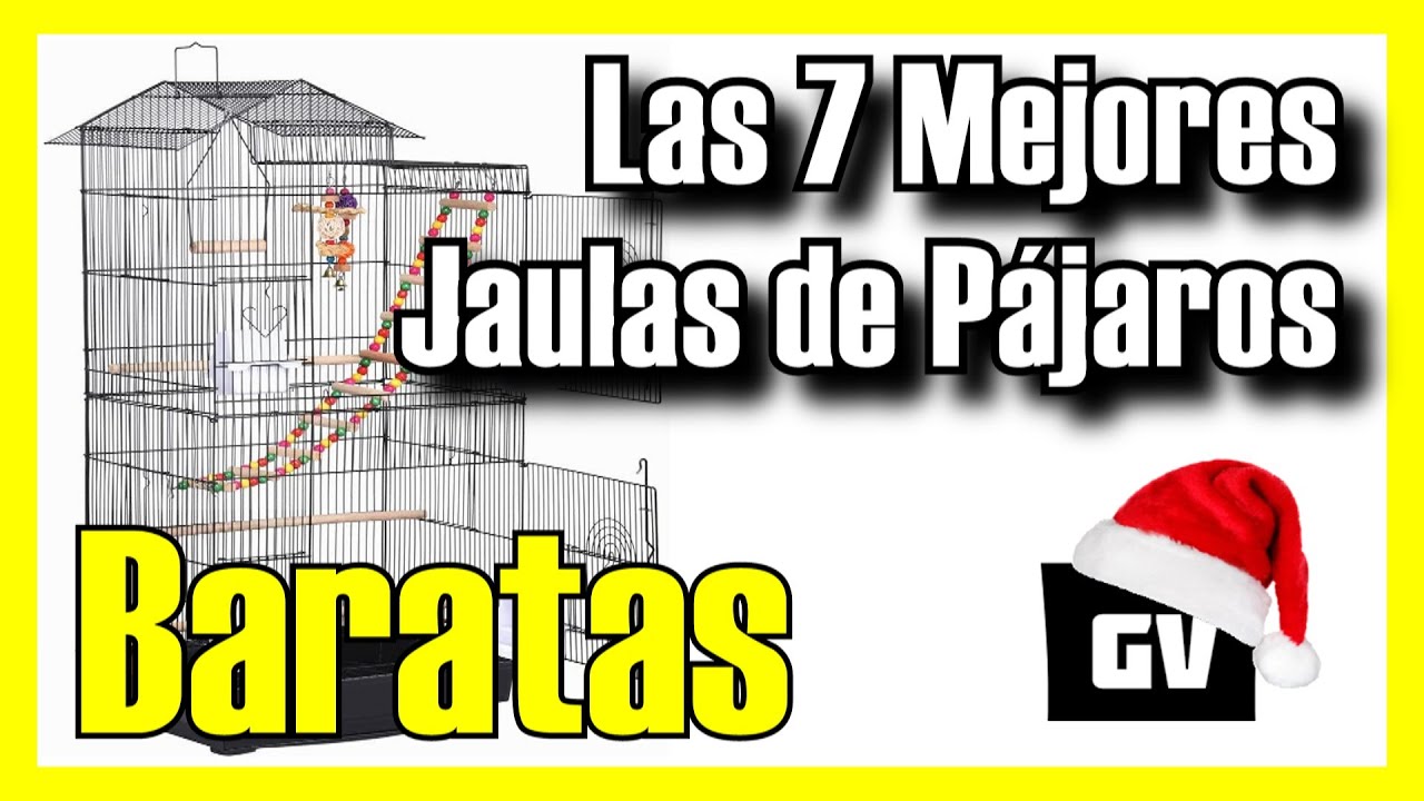jaulas pequeñas para pajaros