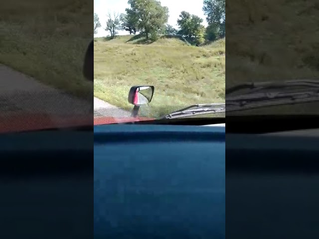 palos y piedras pueden romper mis huesos