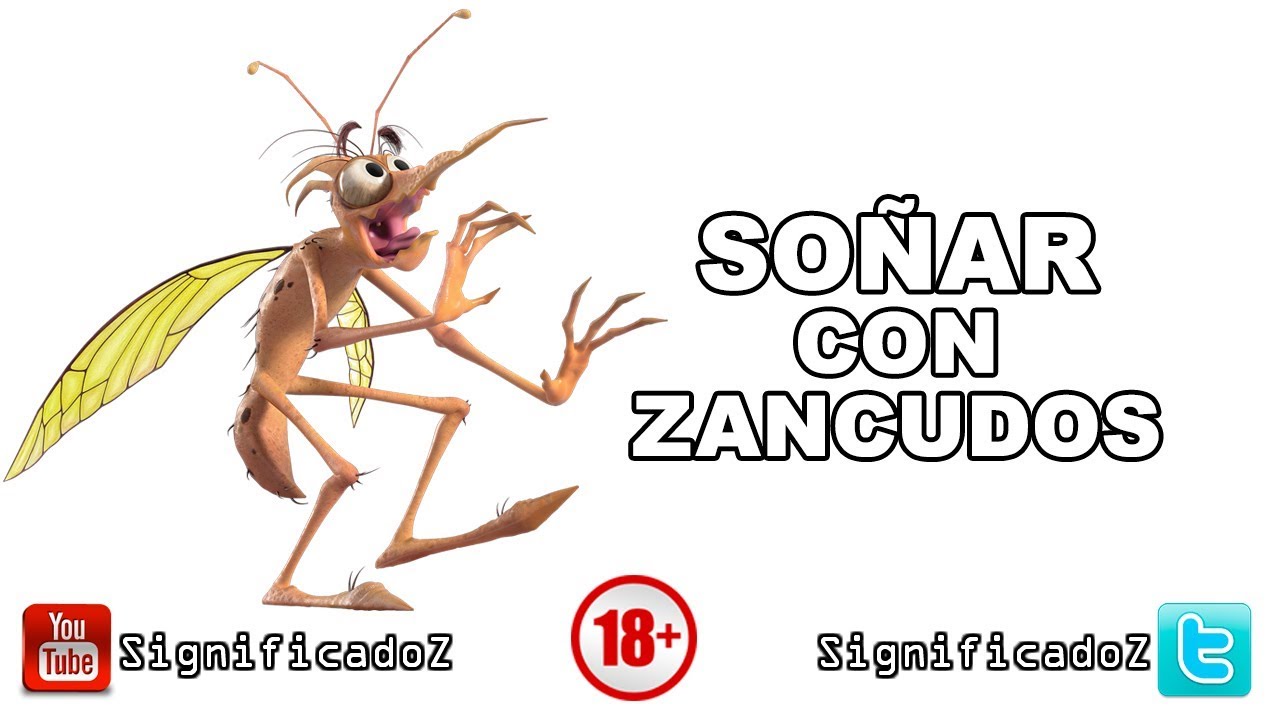 que significa soñar con zancudos