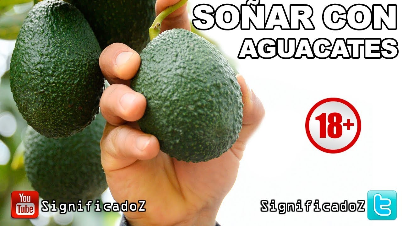 soñar con aguacates grandes