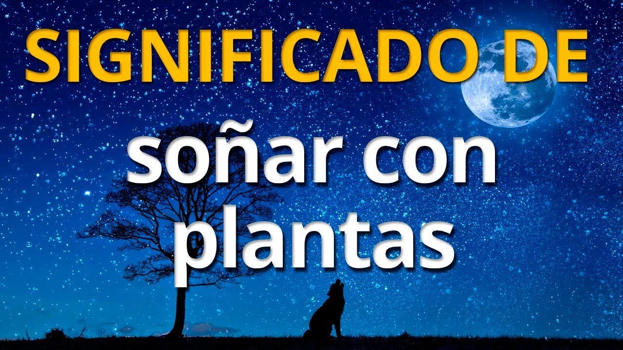 soñar con hierbas medicinales