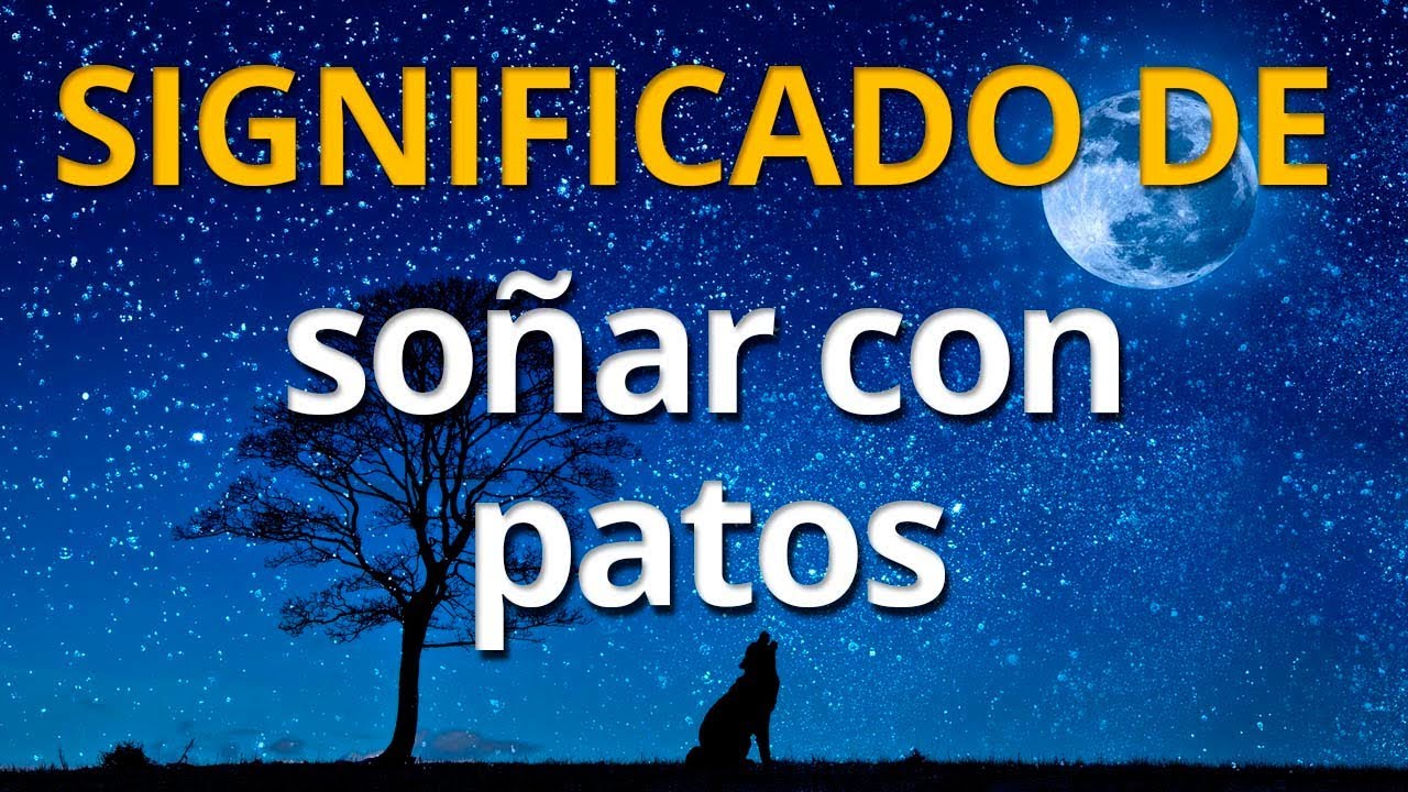 soñar con patos nadando