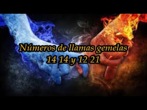 14 14 llama gemela