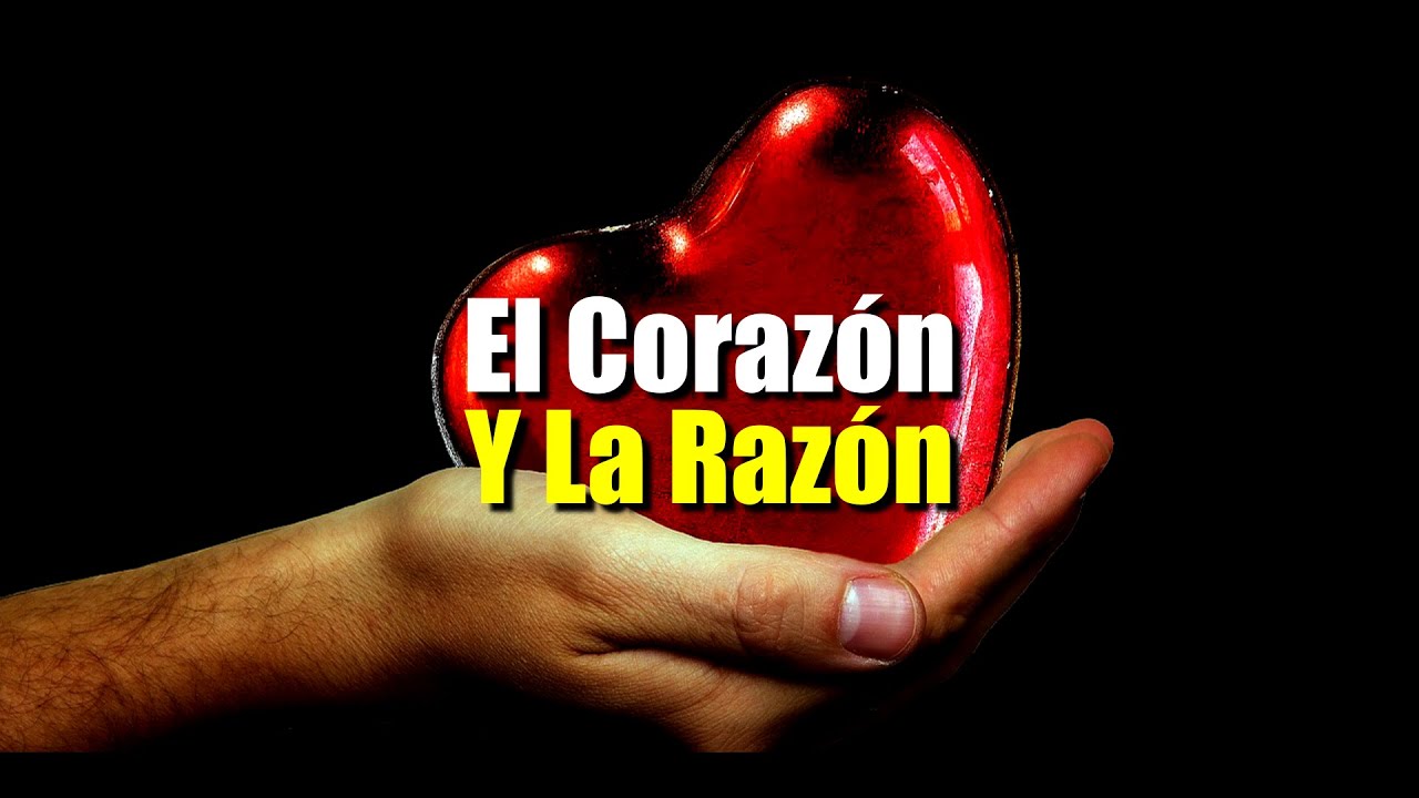 amor corazon y cerebro frases