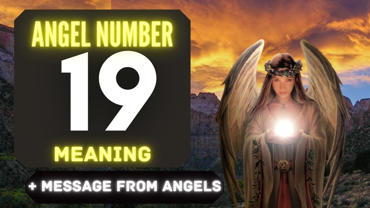 angel 19