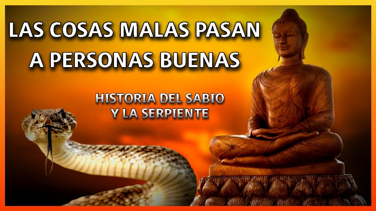 el hombre y la serpiente reflexion