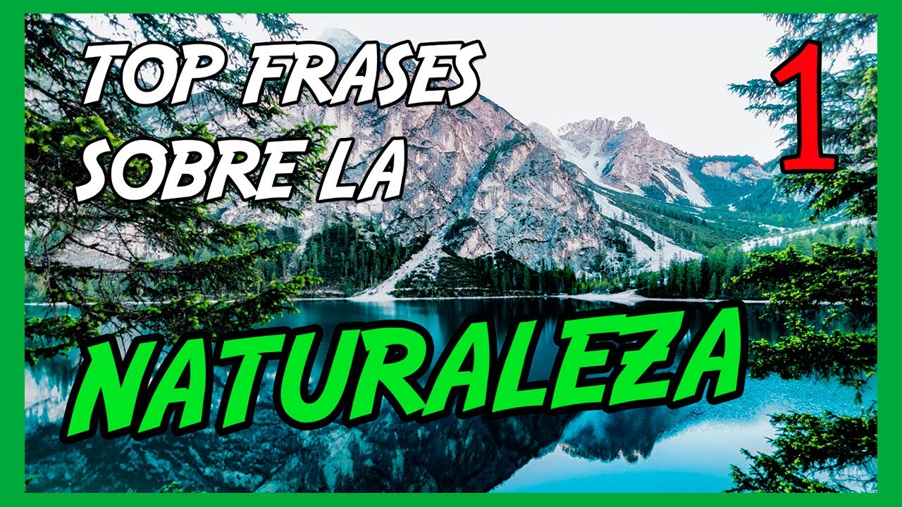 frases de cabañas en el bosque