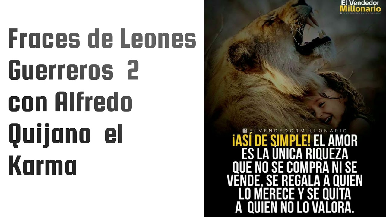 imagenes de leon con frases
