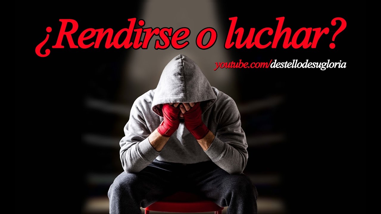 lucha por lo que quieres reflexión