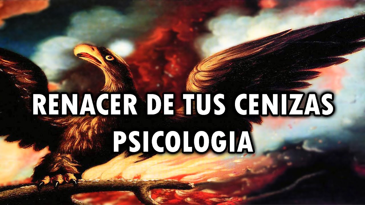 renacer como el ave fenix frases