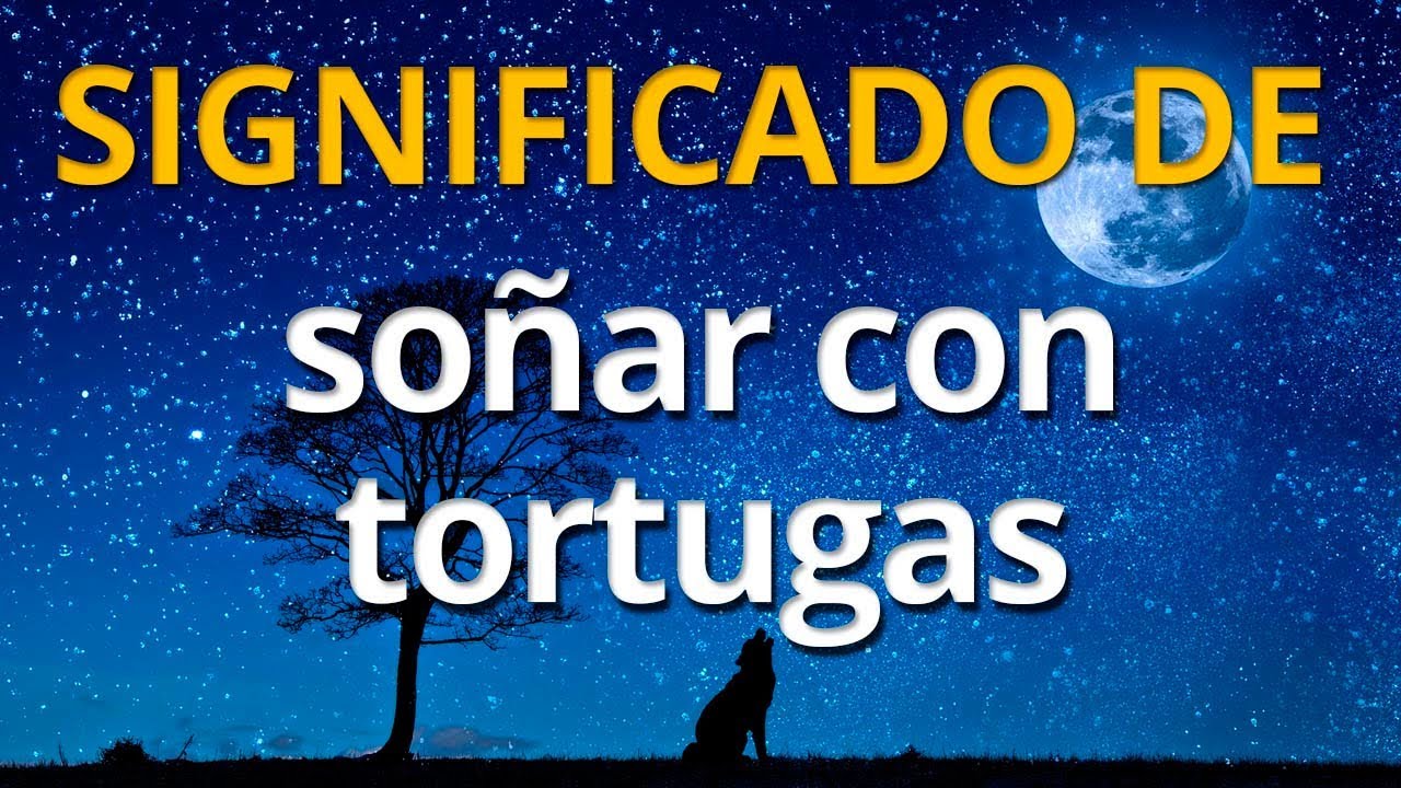 soñar con comer tortugas