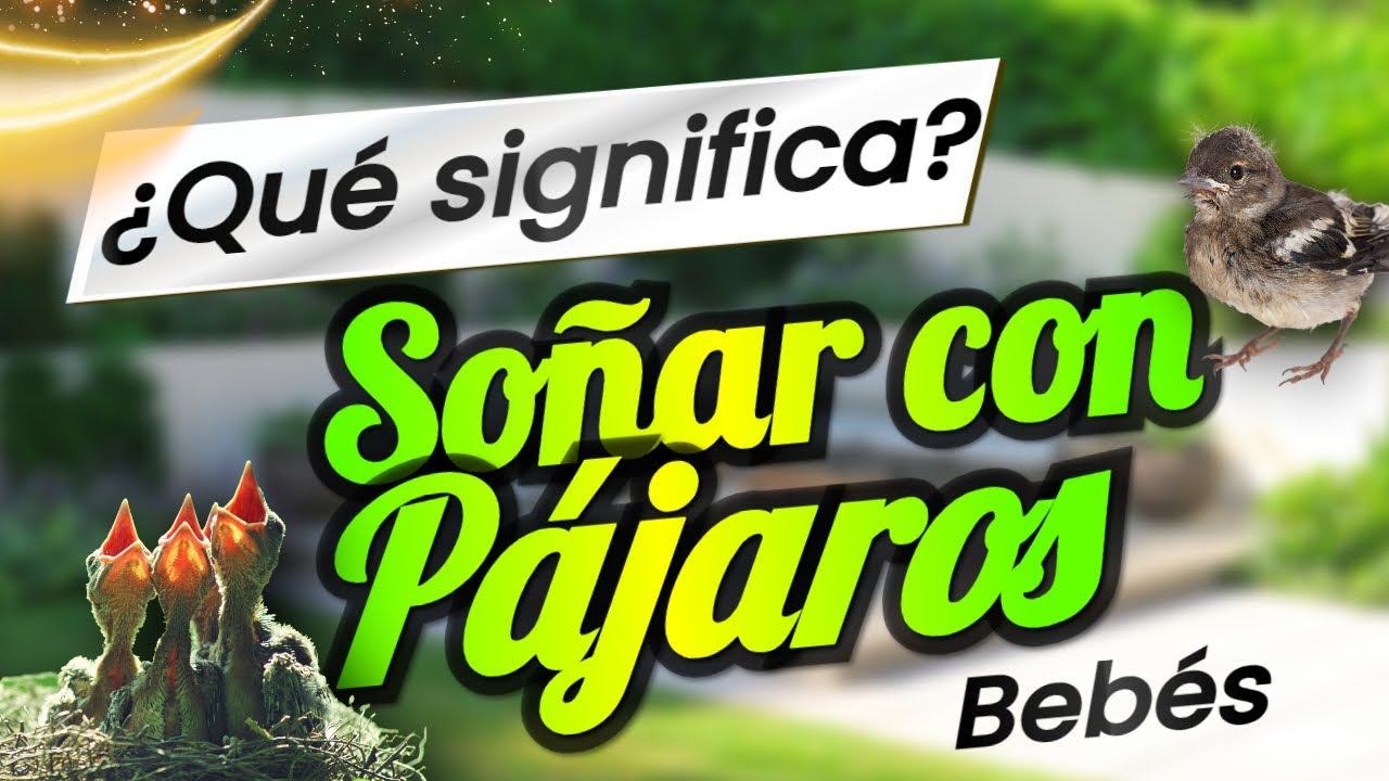soñar con pájaros bebés