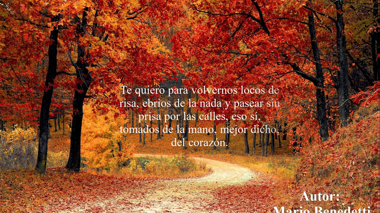 te quiero sin mirar atrás